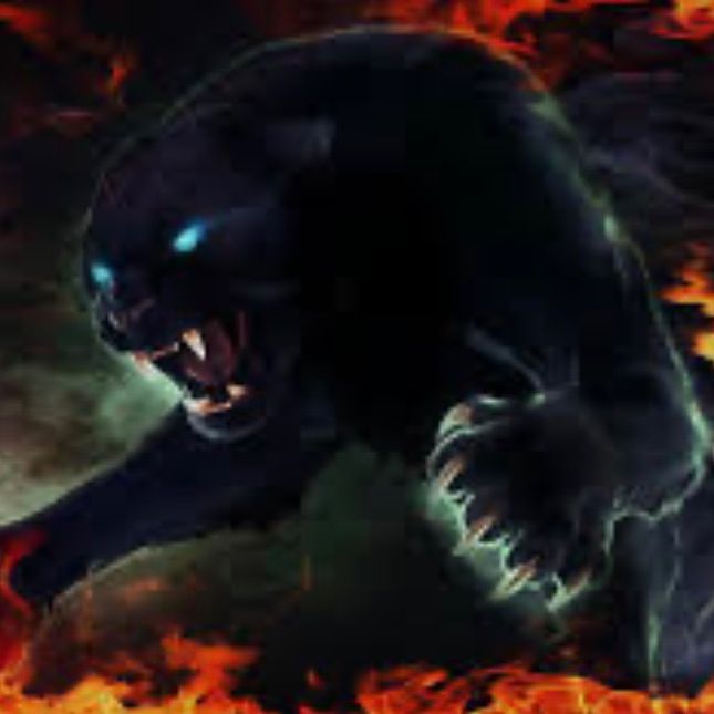 Photo de darkpanther_off