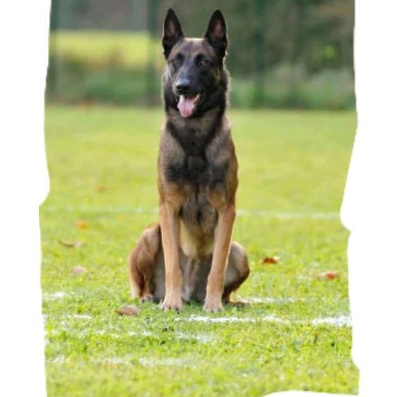 Photo de emma.ardanuy4